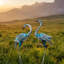 Statue de jardin Ovadia Cranes