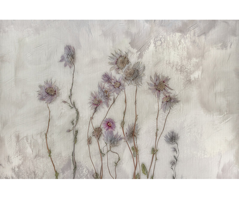 Wrapped Canvas Print, 60.96 cm H x 91.44 cm W
