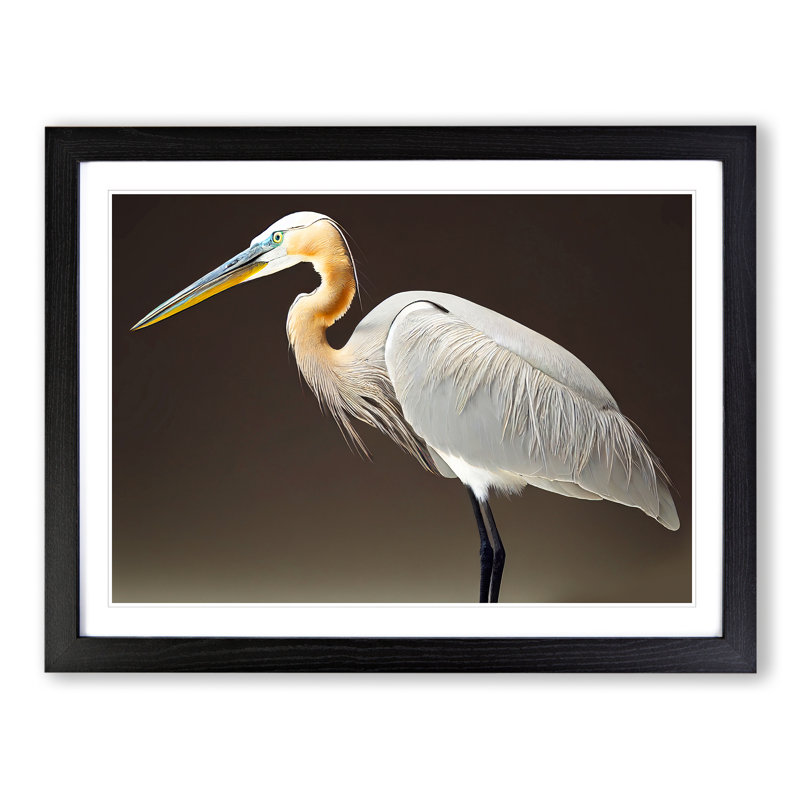 Beauteous Heron Bird - Single Picture Frame Rectangle Print, 34cm H x 46cm W x 2cm D, Black Framed
