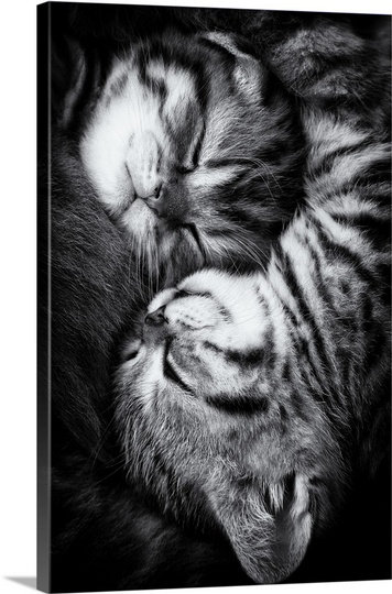 «Yin and Yang» par Andrea Jancova, Straub, reproduction de photo, H 48 po x l 32 po x P 1,5 po, Toile