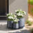Brennus 3-Piece Cement Pot Planter Set-1014766214