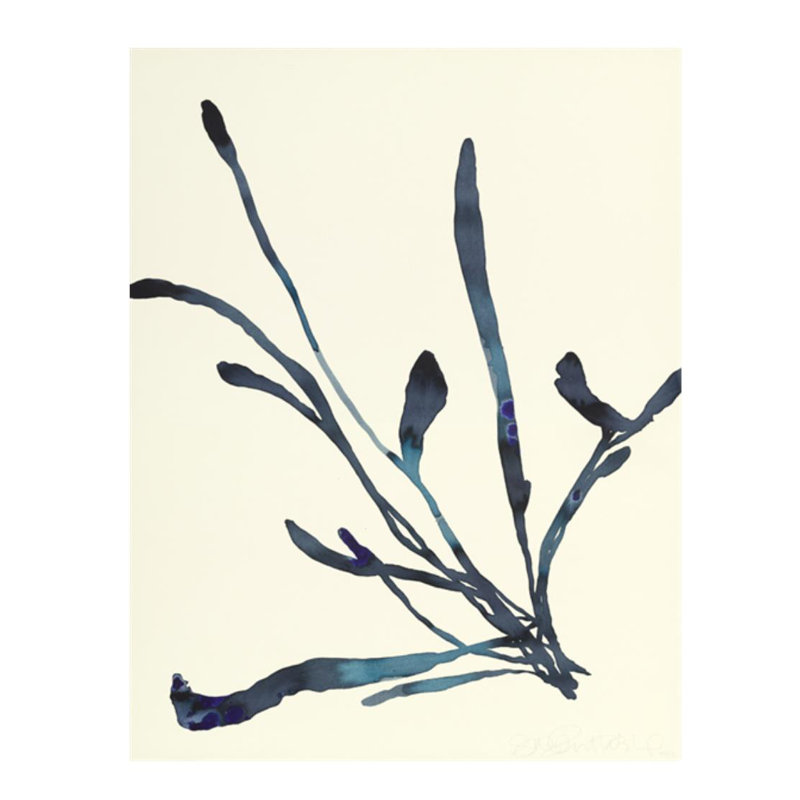 Plants X Print by Hable Construction, Glass Coat