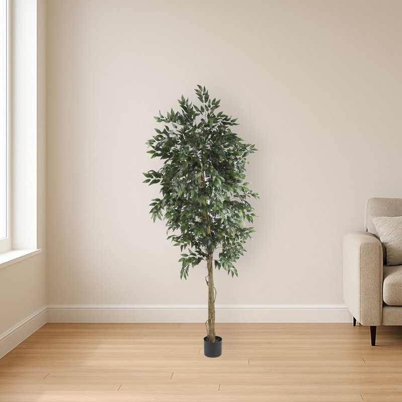 Smilax Silk Tree