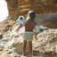 Sunnylife: Buddy Float Bands - Shark Tribe - Dispositifs de flottement des bras gonflables, bande verte
