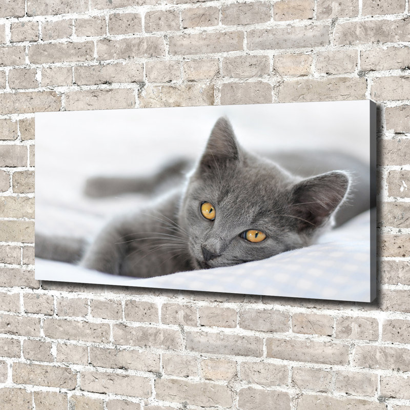 Gray Cat - No Frame Print, Glass, 70cm H x 100cm W x 4cm D
