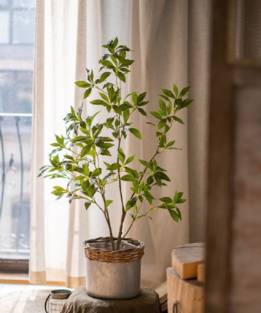 Gant Faux Tree, 37.4" H x 21.6" W x 6" D