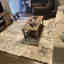 Customer photo 2 of 2