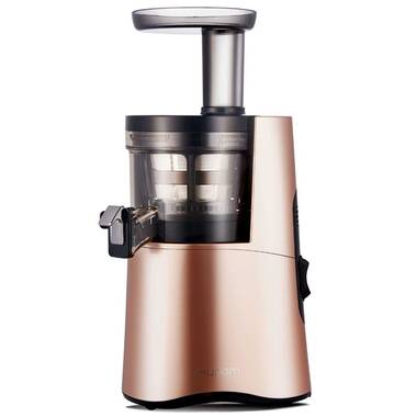 Eleoption Slow Masticating Juicer & Cold Press Juicer