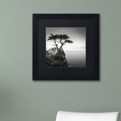 «The Lone Cypress» par Dave Macvicar - reproduction de photo sur toile encadrée