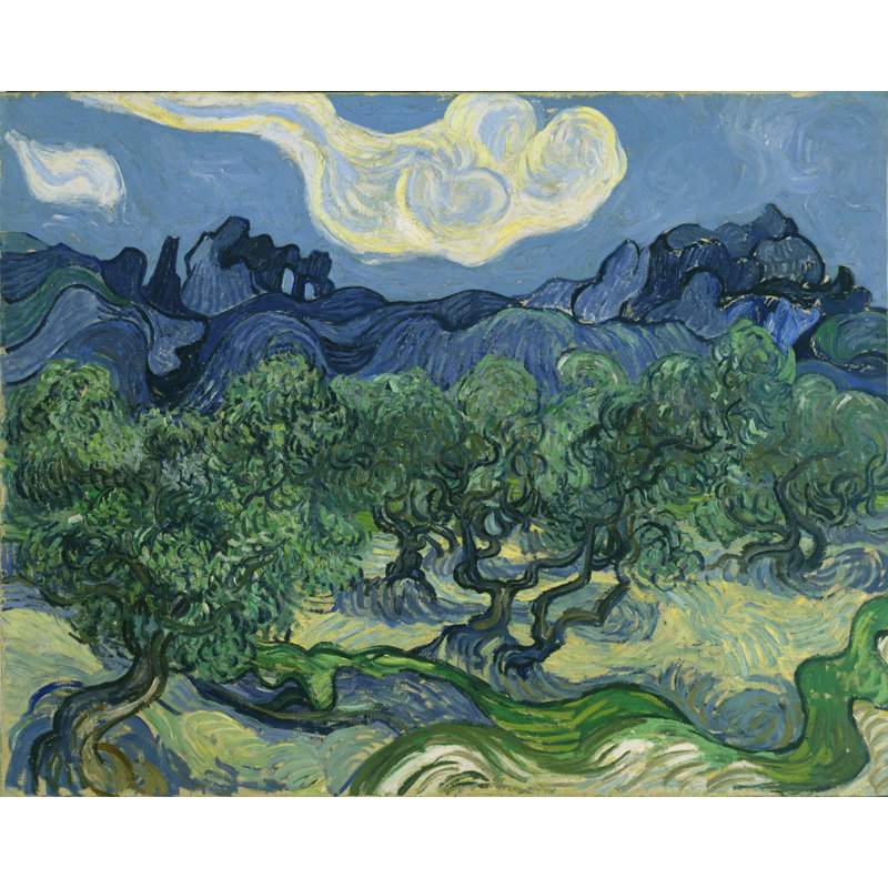 "Olive Trees" par Vincent Van Gogh, reproduction d'art sur toile tendue, H 18 po x l 24 po x 1,5 po