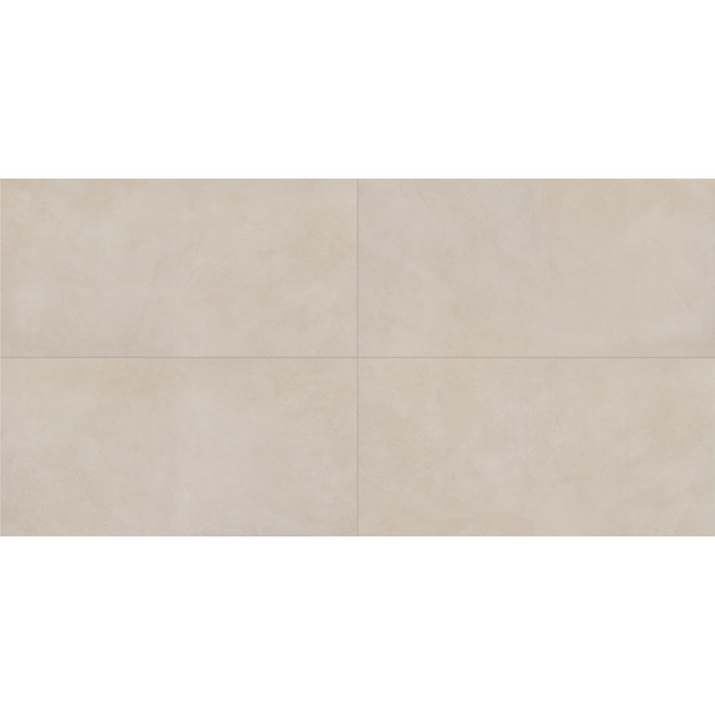 Daltile Indoterra 24 x 48 Colorbody Porcelain Floor Tile with Stepwise Technology (2 PCS Per Carton) (15.26 SQFT Per Carton)