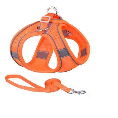 Step-In Breathable Mesh Dog Harness with Matching 1.5m Flat Leash, Orange XXS Size Fit Tiny Dogs 4-6lbs, Chest Girth 28-32cm