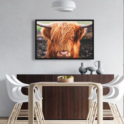 " Portrait Highland Cow "
