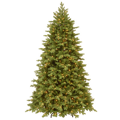PowerConnect Princeton Fraser Tree with Dual Color LED Lights