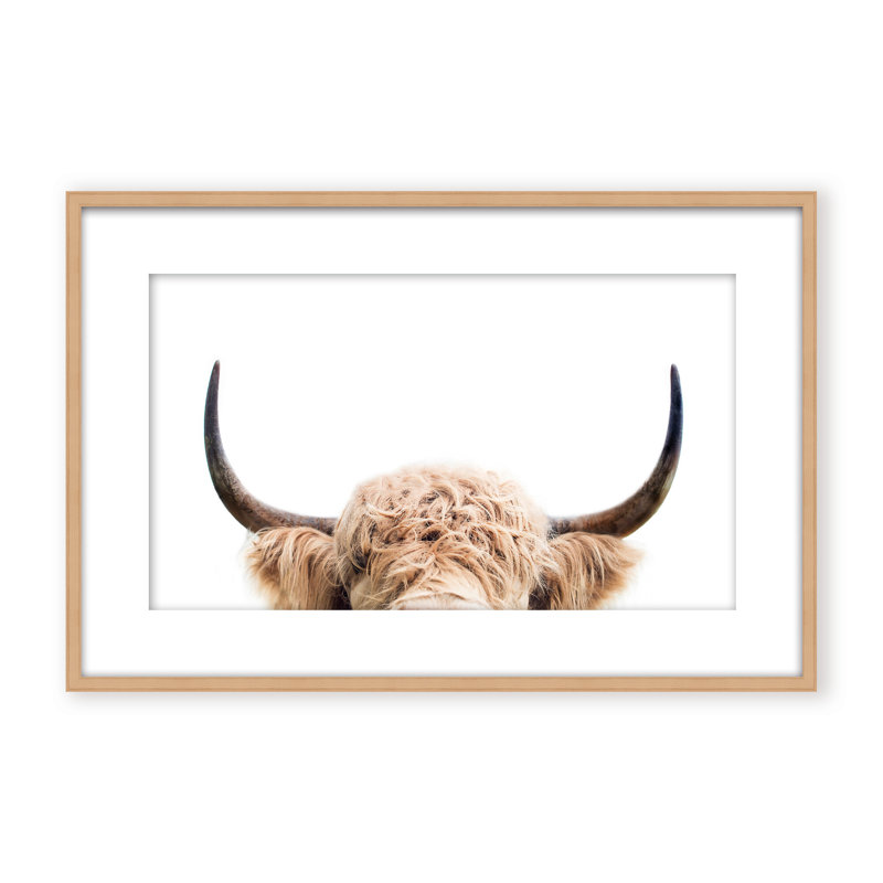 Nature Inspired Peeking Cow by  - Picture Frame Photograph on Paper, 24" H x 36" W x 1.125" D, Black, Framed Print