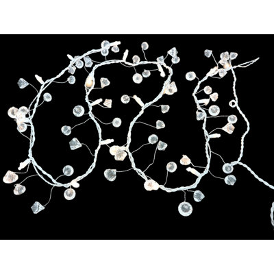 Jahanna Indoor 20 - Bulb 72'' Plug-in String Light