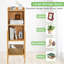 Myrlande 80cm H x 37cm W Solid Wood Standard Bookcase
