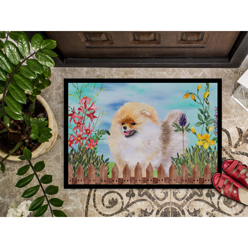 Tapis de porte pour l’extérieur antidérapant poméranie spring, Rectangle 1 pi 6 po x 2 pi 3 po