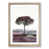 Oak Framed selected