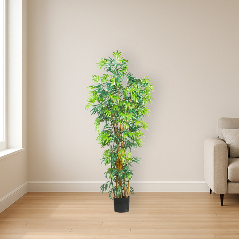 Fancy Style Bamboo Tree, 72" H x 36" W x 36" D