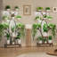 Plant Stand - Set of 8