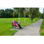 Lexi Solid Wood Pine Outdoor Bench-1010701897-1010701899