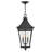 Chapel Hill Museum Black 3 -Bulb 26" H Outdoor Hanging Lantern