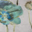Opium Euro Sham