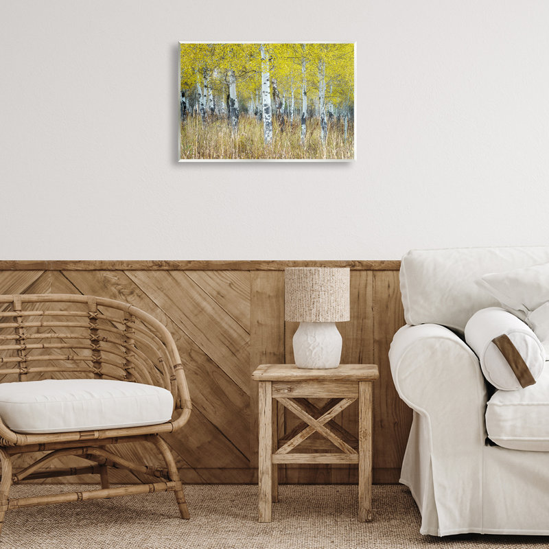 «Dense Birch Trees» par Rick Berk, H 13 po x l 19 po