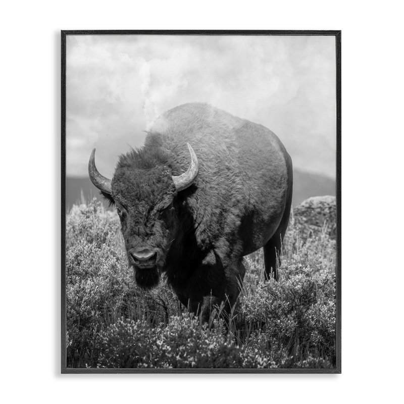 Giclée encadrée, dessin par Marcus Prime, H 14 po x l 11 po, Giclée encadrée noir minuit