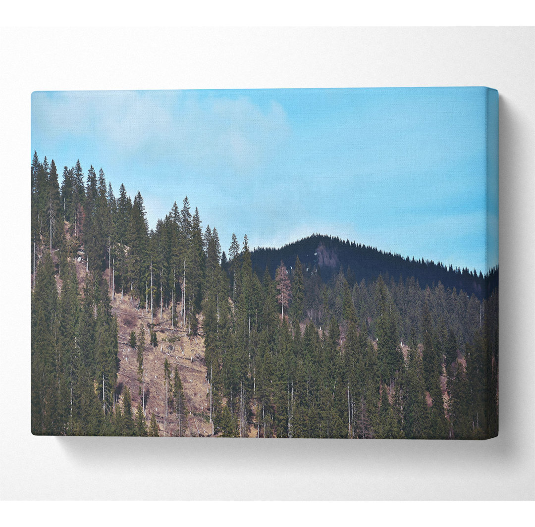 Blauer Himmel Evergreen Ridge