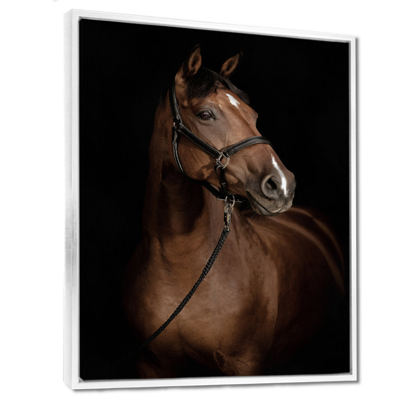 Portrait de cheval - animaux, art mural, H 40 po x l 30 po, Cadre flottant blanc