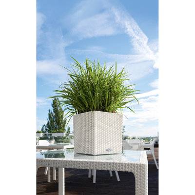 Moneak Planter Box