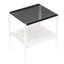 Table basse et tables de bout de salon en verre gris avec somptuosité chic et attrayante-1427627146