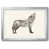Argent