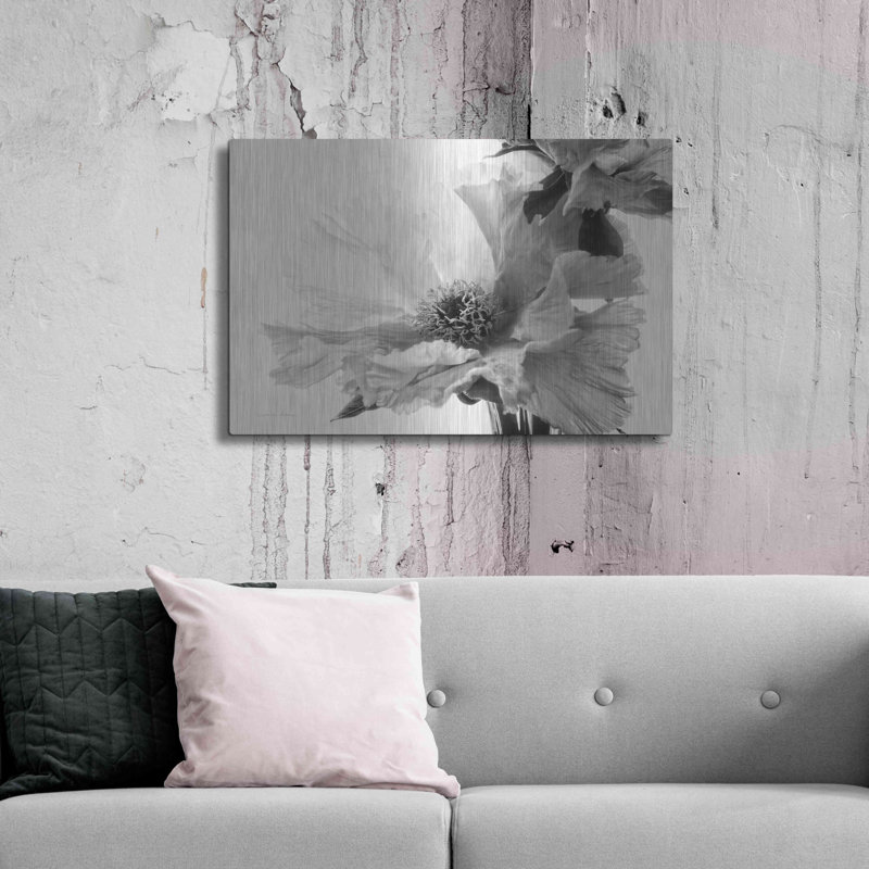 "Pivoine translucide VBW" par Debra Van Swearingen, H 24 po x l 36 po