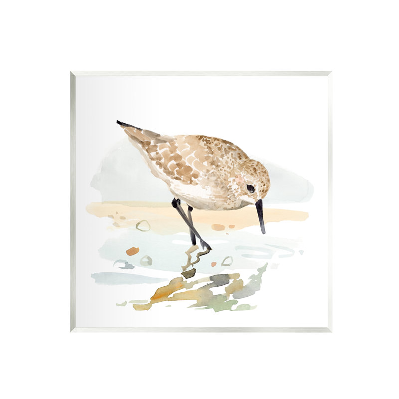 «Sandpiper Sandor» par Victoria Barnes, H 12 po x l 12 po x P 0,5 po