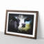 A Cow in the Meadow - Framed Print-56876963-56876968