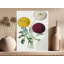 Hersey Wrapped Canvas Print Set-359786167