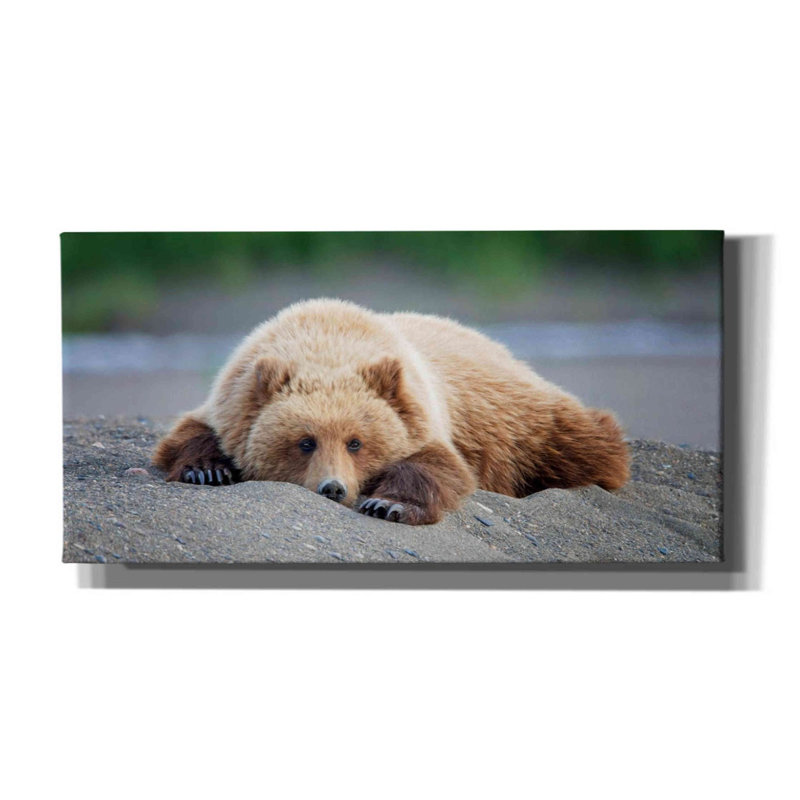 «Bear Life X» par PH Burchett, art mural sur toile, H 30 po x l 60 po x P 1,5 po
