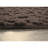 Ebern Designs Yenni Area Rug Mocha-431195057