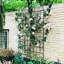 Treillis antirouille pour plantes grimpantes Viveros Garden-1723940467