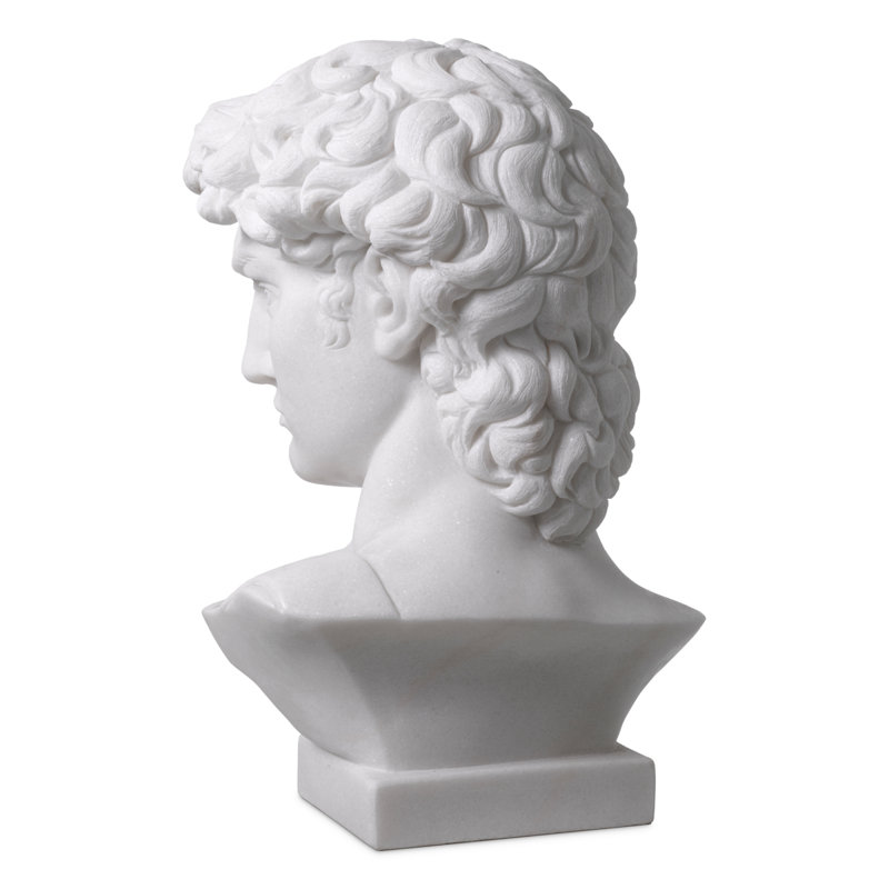 David Bust