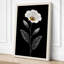 White Bloom Study Botanical - Wrapped Canvas-916994536-916994537