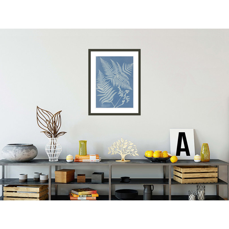 «Pteris aquilina» par Anna Atkins, impression giclée sur cadre, H 29,5 po x l 23,19 po