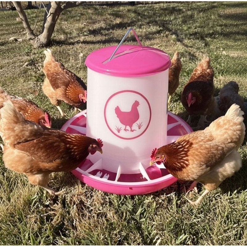 Mangeoire à poulet 25 lb - Fuchsia, 26 gallons, Rose