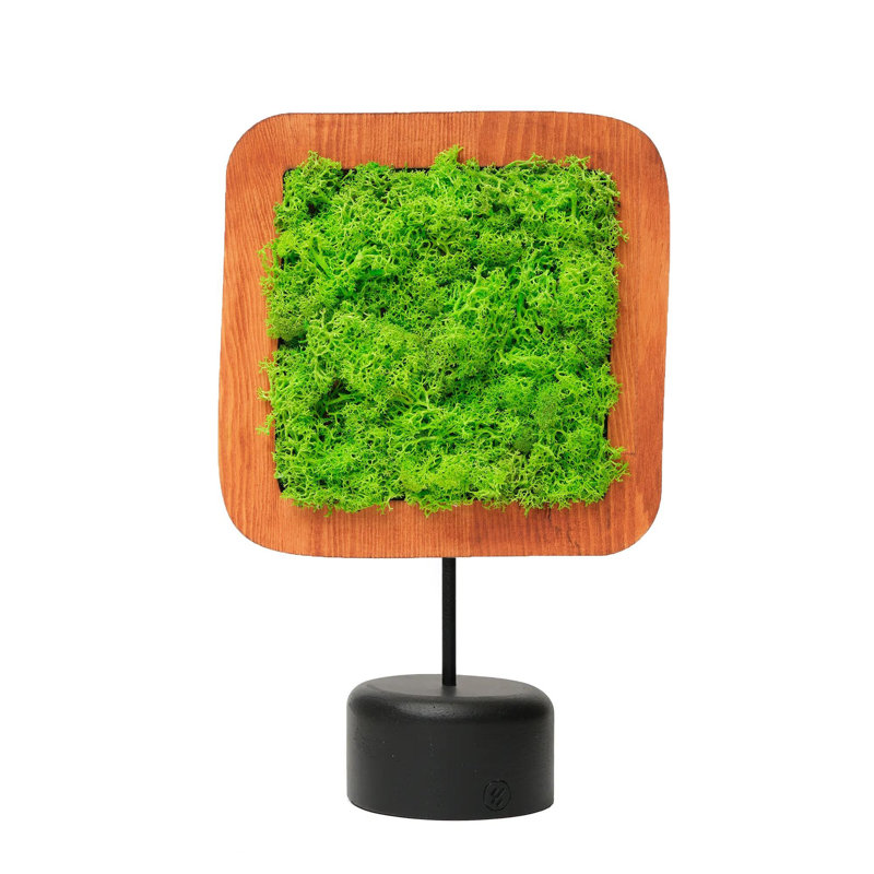 Decorative Object
