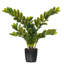Zen Faux Plant in Pot-20583942