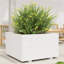 Wood Planter Box-104931187-104931191