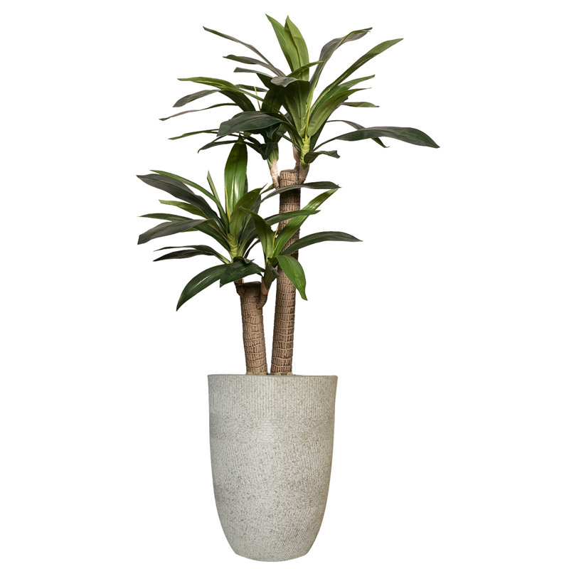 Dracaena artificiel Panama 53 po en pot